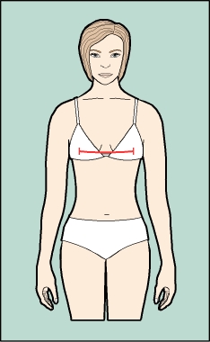 Basic Viewer - Image 2